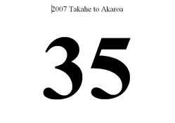 Example bib number